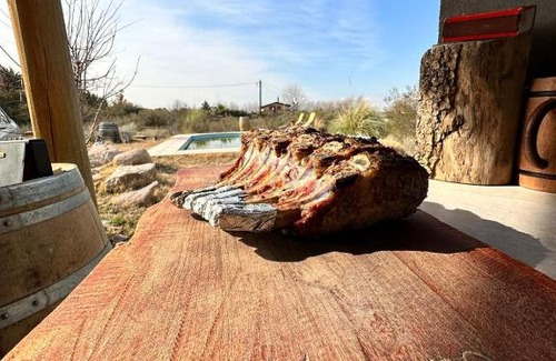 Cacheuta Skihütte | Cabaña Los Manzano