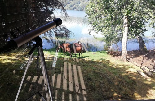 Morelia Kabine | Cabaña Moderna Junto al Lago