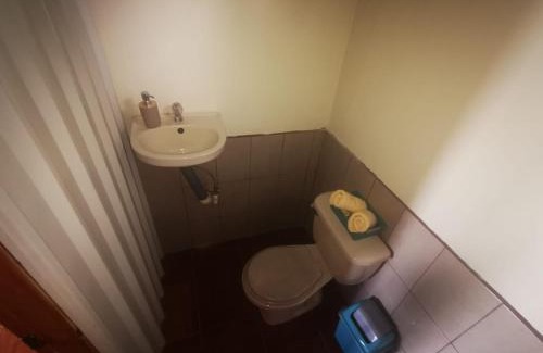 Aguas Zarcas Wohnung | Cabaña Mono Cariblanco