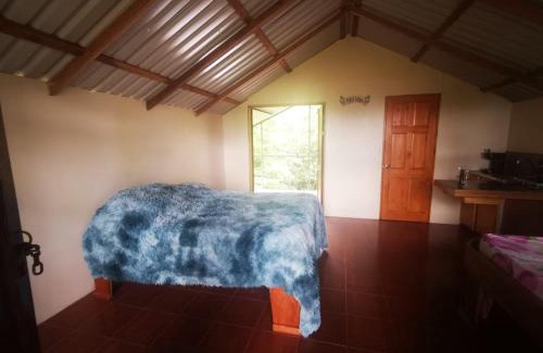 Aguas Zarcas Wohnung | Cabaña Mono Cariblanco