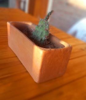 San Lorenzo Haus | Cabaña Rincón de Afrodita