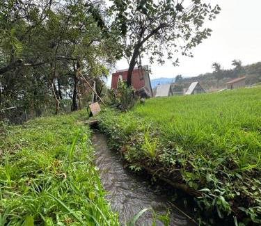 Ocuilan Kabine | Cabaña Roble