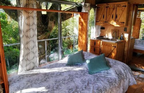 Concepcion Haus | Cabaña treehouse Mountain View