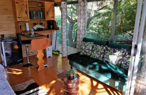 Concepcion Haus | Cabaña treehouse Mountain View