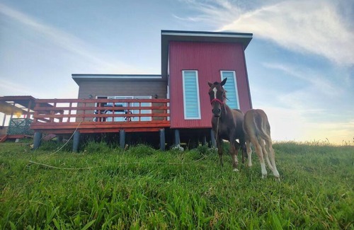 Ancud Haus | Cabaña y Tinaja Rosaura Mistika