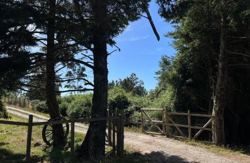 Ancud Wohnung | Cabañas Arenas de Ancud