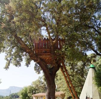 Yeste Haus | CABAÑAS ARGUELLITE