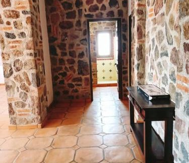 Calpulalpan Wohnung | Cabañas Calpulalpan de paso