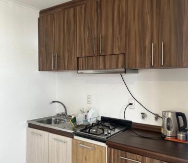 Punta Arenas Wohnung | Cabañas de alojamiento