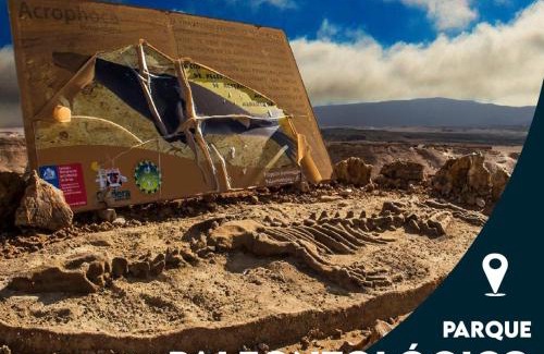 Bahia Inglesa Kabine | Cabañas Ecologicas Alto Cañizares