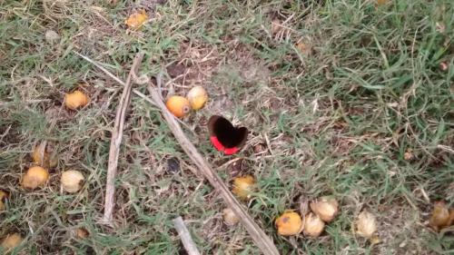 Termas de Rio Hondo Kabine | Cabañas Ensueño del Lago