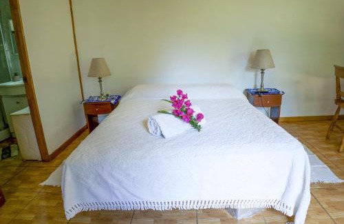 Hanga Roa Wohnung | Cabañas moeVarua en Tahai