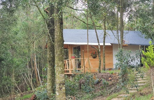 Medellin Wohnung | Cabañas Piedemonte