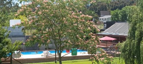 Chascomus Haus | Cabañas Tranquera 8