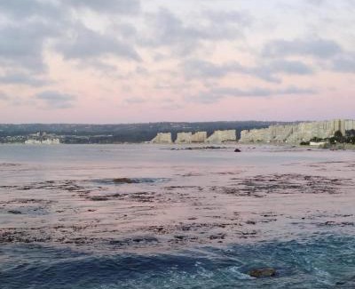 El Quisco Sonstige | Cabañas VistaBosque de Algarrobo