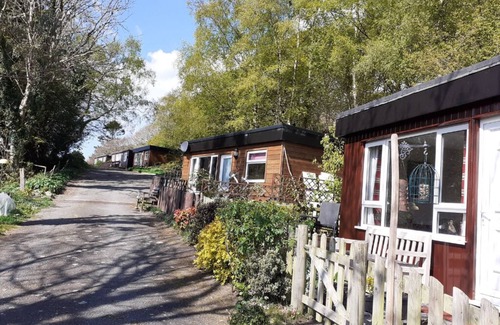 Aberdovey Skihütte | Caban Dyfi – A tranquil, dog-friendly woodland escape near Aberdovey, Wales