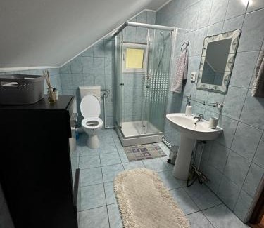 Muntele Baisorii Kabine | Cabana dintre brazi