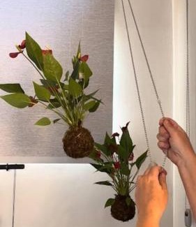 Casa Branca Villa | Cabanas da Mata - Cabana Candeia - Casa Branca/MG