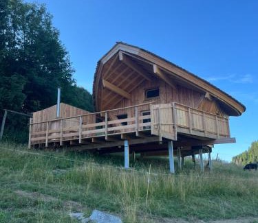 La Pesse Skihütte | Cabane Insolite de la Semine