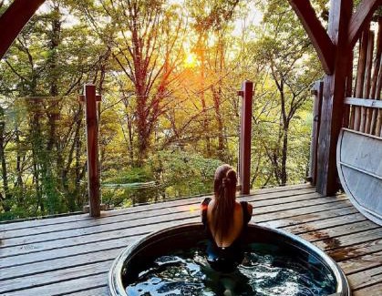 Bonlieu Bed & Breakfast | Cabanes du Hérisson, cabanes perchées de standing avec spa