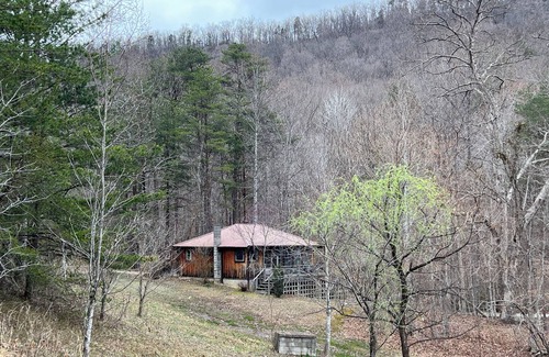 Irvine Kabine | Cabin by the Creek – A Peaceful Hideaway in the Trees