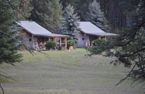 Bigfork Kabine | Cabin in the Woods