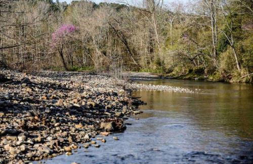 Norman Haus | Caddo Cabin on Collier Creek