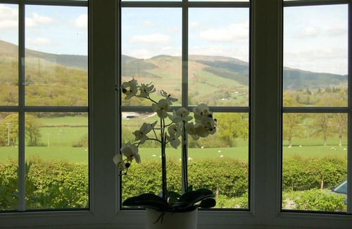 Cwrt Haus | Cae Talgarth Bungalow at Plas Talgarth Resort