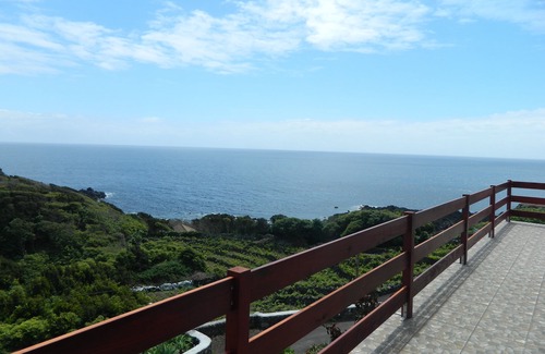 Lajes do Pico Haus | Keller Nest Shearwater