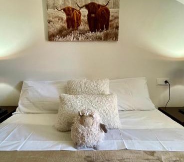 Puigcerda Wohnung | CAL QUEROL 2 - àtic en el centre