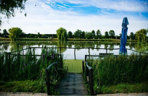 Ineu Hotel | Camelot Resort