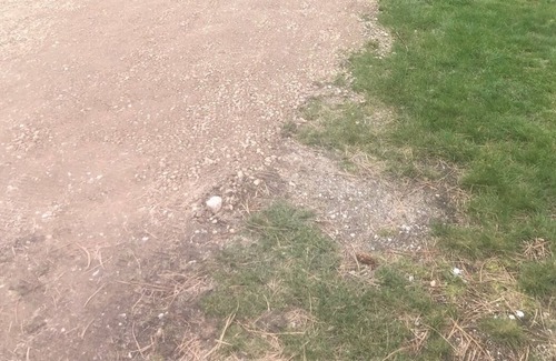 Ravalli County Sonstige | CAMP SULA - RV SITE # 16 - back In