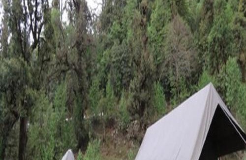 Dugalbitta Sonstige | Camping at Natures Nest