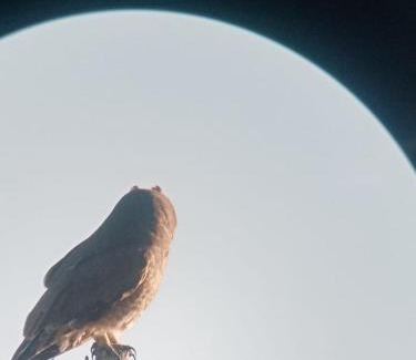 Moulay Bousselham Sonstige | Camping Kbir