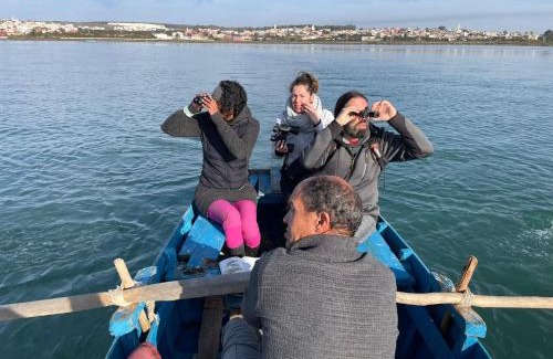 Moulay Bousselham Sonstige | Camping Kbir