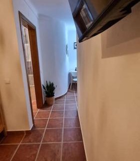 Alter do Chão Wohnung | Cantinho da Vila by Portus Alacer