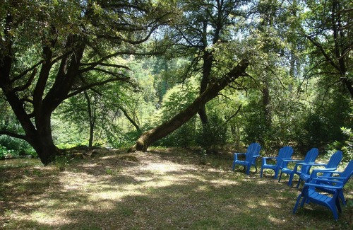 Forest Ranch Hütte | Canyon Cottage: eine friedliche Oase in einer eiligen Welt