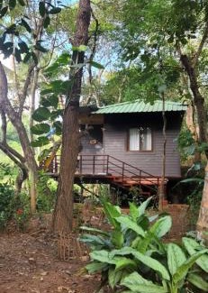 Sirsi Sonstige | Captain's Camp