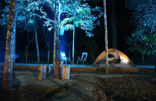 Sirsi Sonstige | Captain's Camp