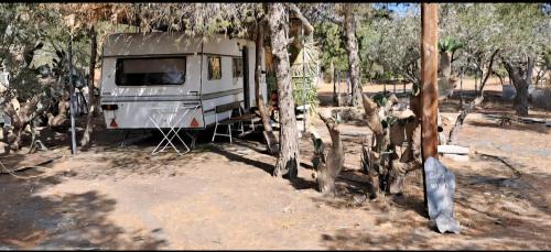 Tabernas Sonstige | Caravana SolyVida Tabernas