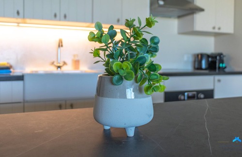 Kralendijk Wohnung | Caribbean Lofts Bonaire