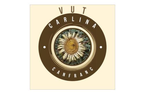 Canfranc-Estacion Wohnung | Carlina Canfranc