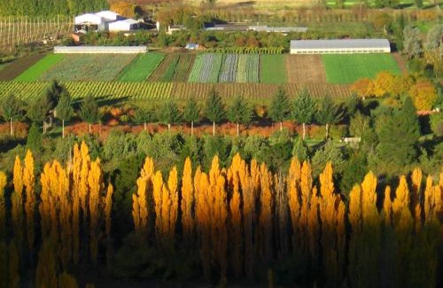 El Bolson Kabine | Carpe Diem Cabañas & Suites