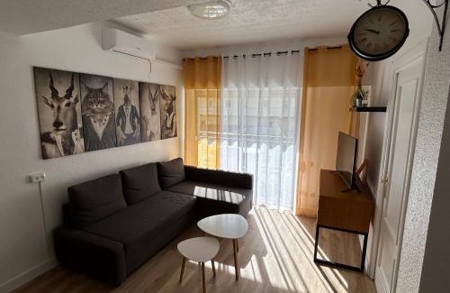 Daimuz Wohnung | CARPE DIEM DAIMUS