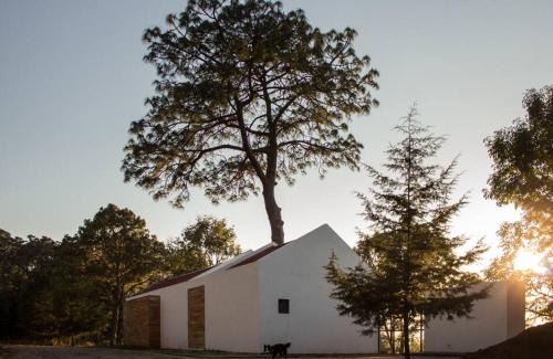 Mazamitla Haus | Casa Alrededor de un Pino