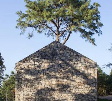 Mazamitla Haus | Casa Alrededor de un Pino