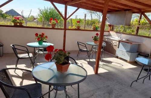 Corbu Haus | Casa Anhela