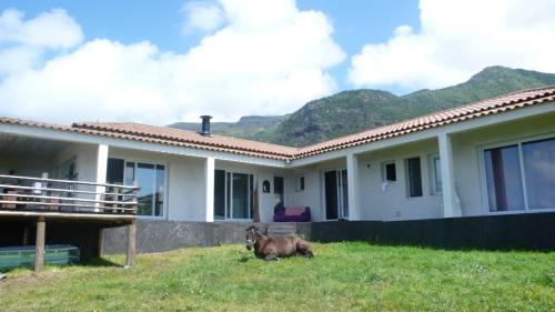 Lajes das Flores Haus | Casa Atlantida - Sea front