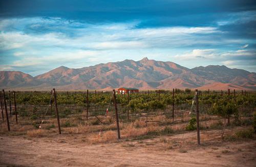 Willcox Haus | Casa Barbera at Tirrito Farm