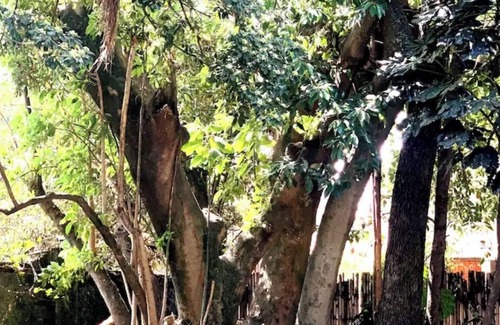 Martinez Haus | Casa Benedetta